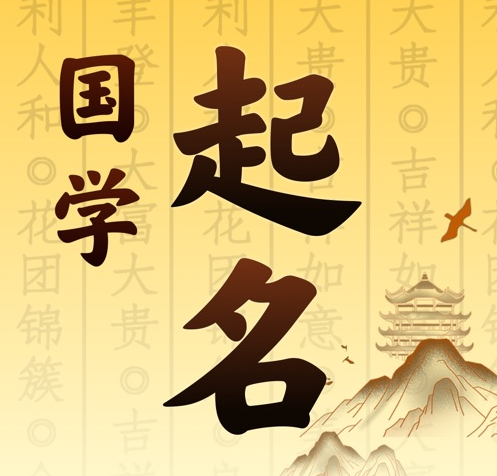 纳雍国学起名 人工起名一对一